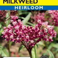 Milkweed Swamp (Eastern Native)