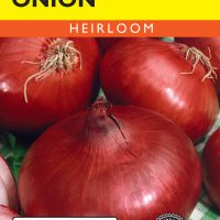 Onion Red Burgundy