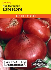 Onion Red Burgundy