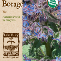 Organic Borage Blue