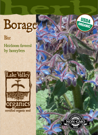 Organic Borage Blue
