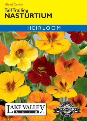 Nasturtium Tall Trailing Mixed Colors