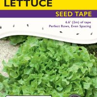 Lettuce Salad Bowl