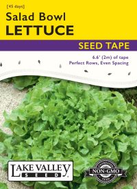 Lettuce Salad Bowl