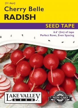 Radish Cherry Belle