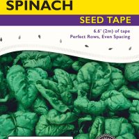 Spinach Viking - Item #4559