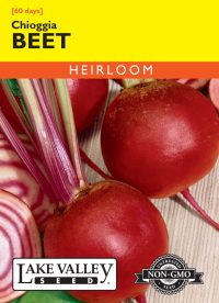 Beet Chioggia - Item #46