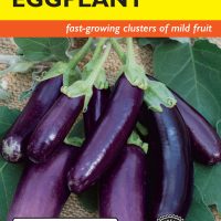 Eggplant Finger Fruit Purple