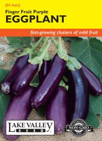Eggplant Finger Fruit Purple