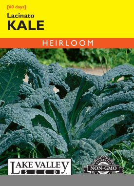 Kale Lacinato - Item #4612