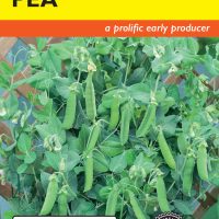 Pea Patio Pride