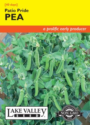 Pea Patio Pride