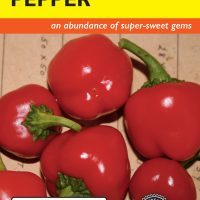Pepper Sweet Mini Red Bell