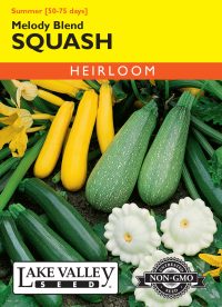 Squash (Summer) Melody
