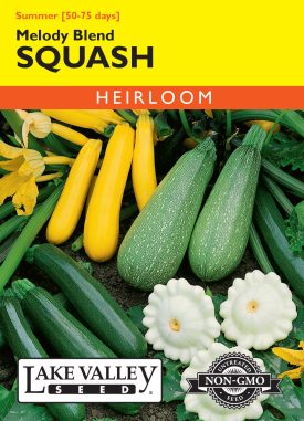 Squash (Summer) Melody