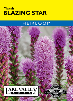 Blazing Star Marsh