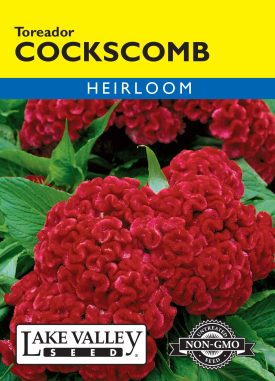 Cockscomb Toreador - Item #4622