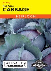Cabbage Red Acre