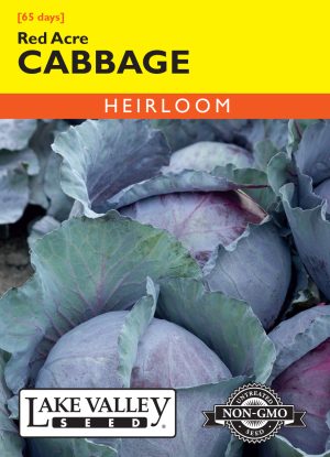 Cabbage Red Acre