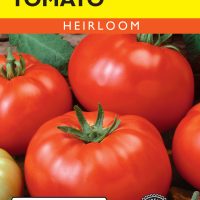 Tomato (Pole) Beefsteak