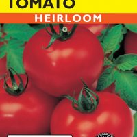 Tomato Ace 55 VF