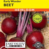 Beet Early Wonder