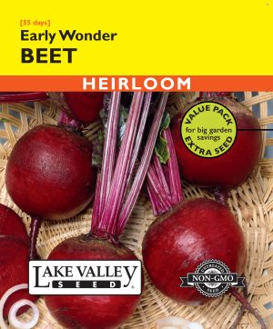 Beet Early Wonder