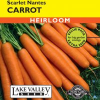 Carrot Scarlet Nantes