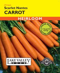 Carrot Scarlet Nantes