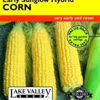 Corn Sweet Early Sunglow