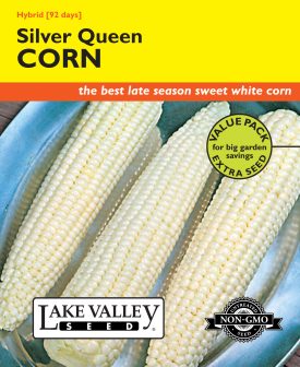Corn Sweet Silver Queen