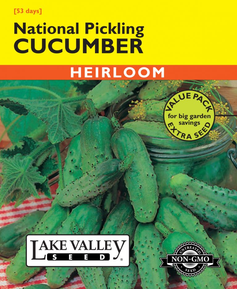 Cucumber National Pickling Item 483 Lake Valley Seed