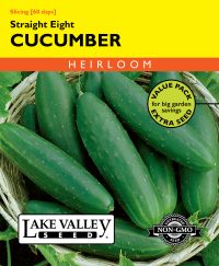 Cucumber Straight Eight - Item #484