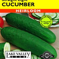 Cucumber Straight Eight