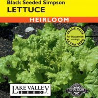 Lettuce Black Seeded Simpson