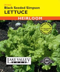 Lettuce Black Seeded Simpson