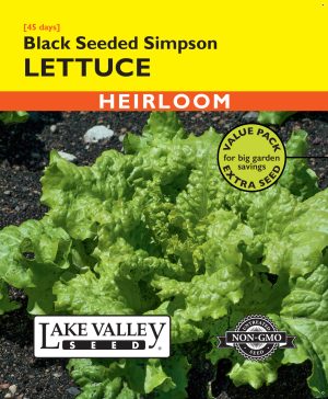 Lettuce Black Seeded Simpson