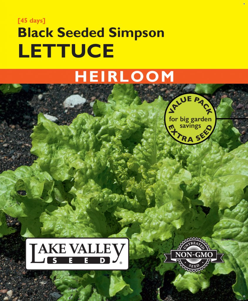 Lettuce Black Seeded Simpson Item 485 Lake Valley Seed