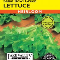Lettuce Salad Bowl Green