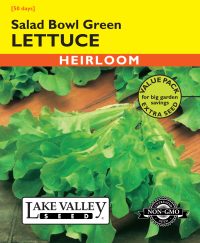 Lettuce Salad Bowl Green