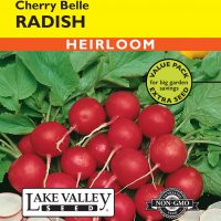 Radish Cherry Belle