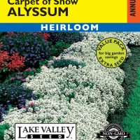 Alyssum Carpet Of Snow