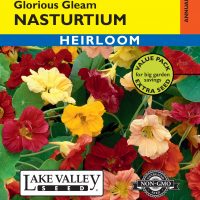 Nasturtium Glorious Gleam