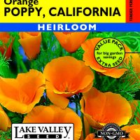 Poppy California Orange