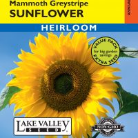 Sunflower Mammoth Greystripe