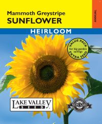 Sunflower Mammoth Greystripe