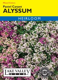 Alyssum Pastel Carpet Mixed Colors