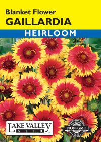 Gaillardia Blanket Flower