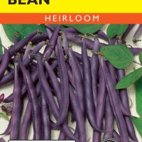 Bean (Bush) Royal Burgundy