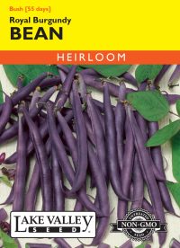 Bean (Bush) Royal Burgundy